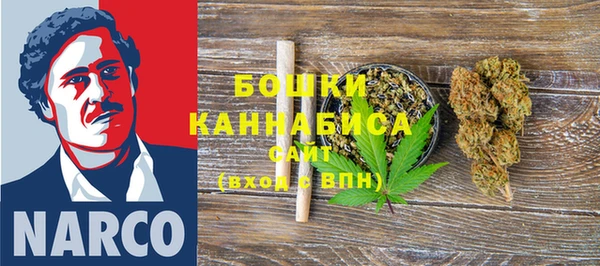 шишки Лабытнанги