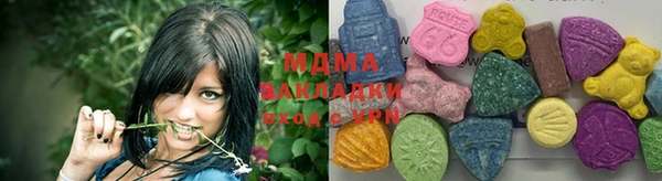 шишки Лабытнанги