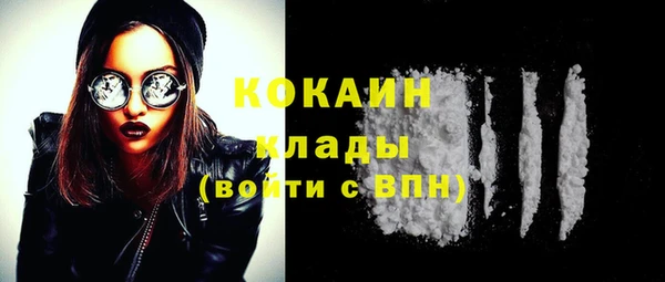 шишки Лабытнанги