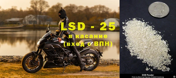 шишки Лабытнанги