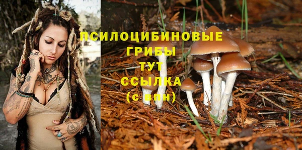 не бодяженный Лагань