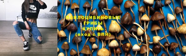 шишки Лабытнанги