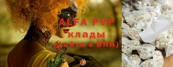 шишки Лабытнанги