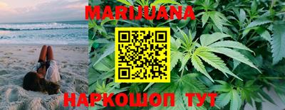 Альфа ПВП Бийск