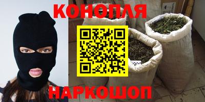 Альфа ПВП Бийск