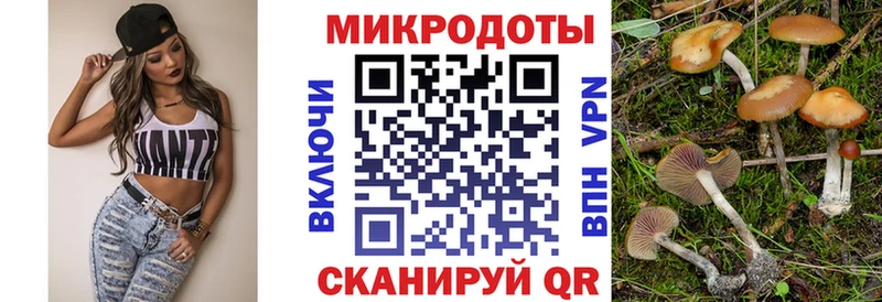 Галлюциногенные грибы Magic Shrooms omg онион Нижнеудинск
