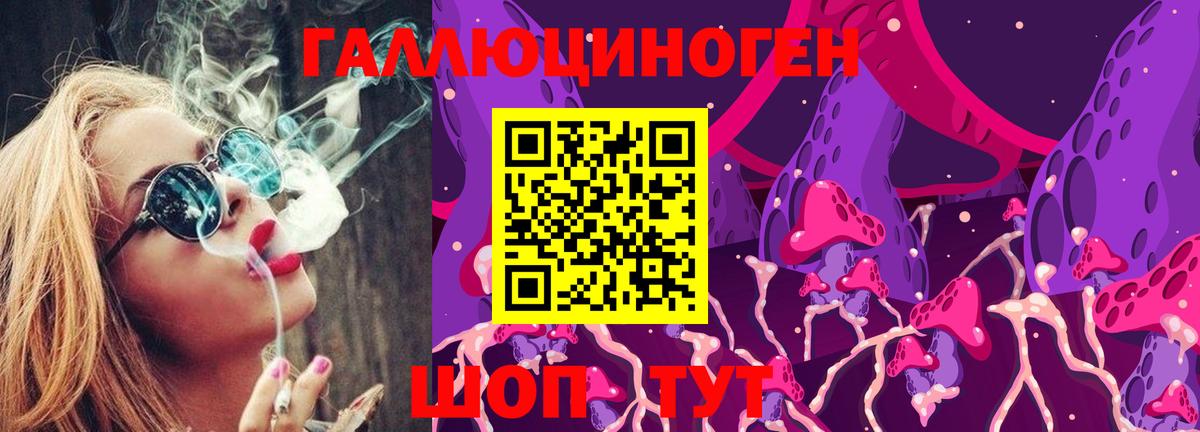 Галлюциногенные грибы Psilocybe  Нижнеудинск 