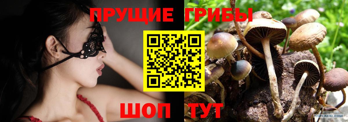 купить наркотик  Псилоцибиновые грибы мицелий  Вход с VPN  Нижнеудинск 